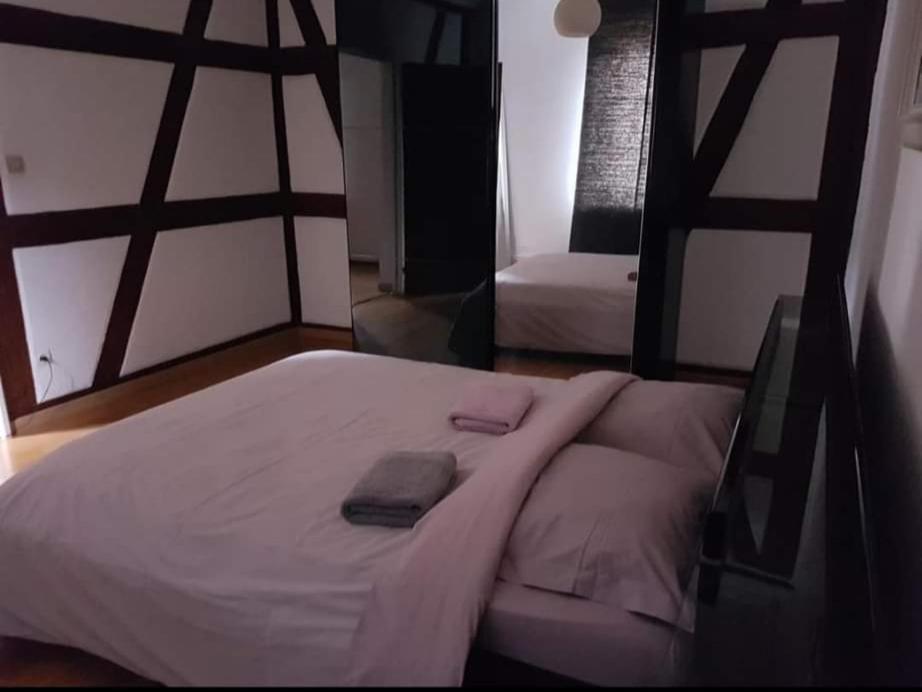Spacious Appartement Colmar 2 Bagian luar foto